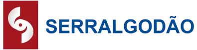 logo 100